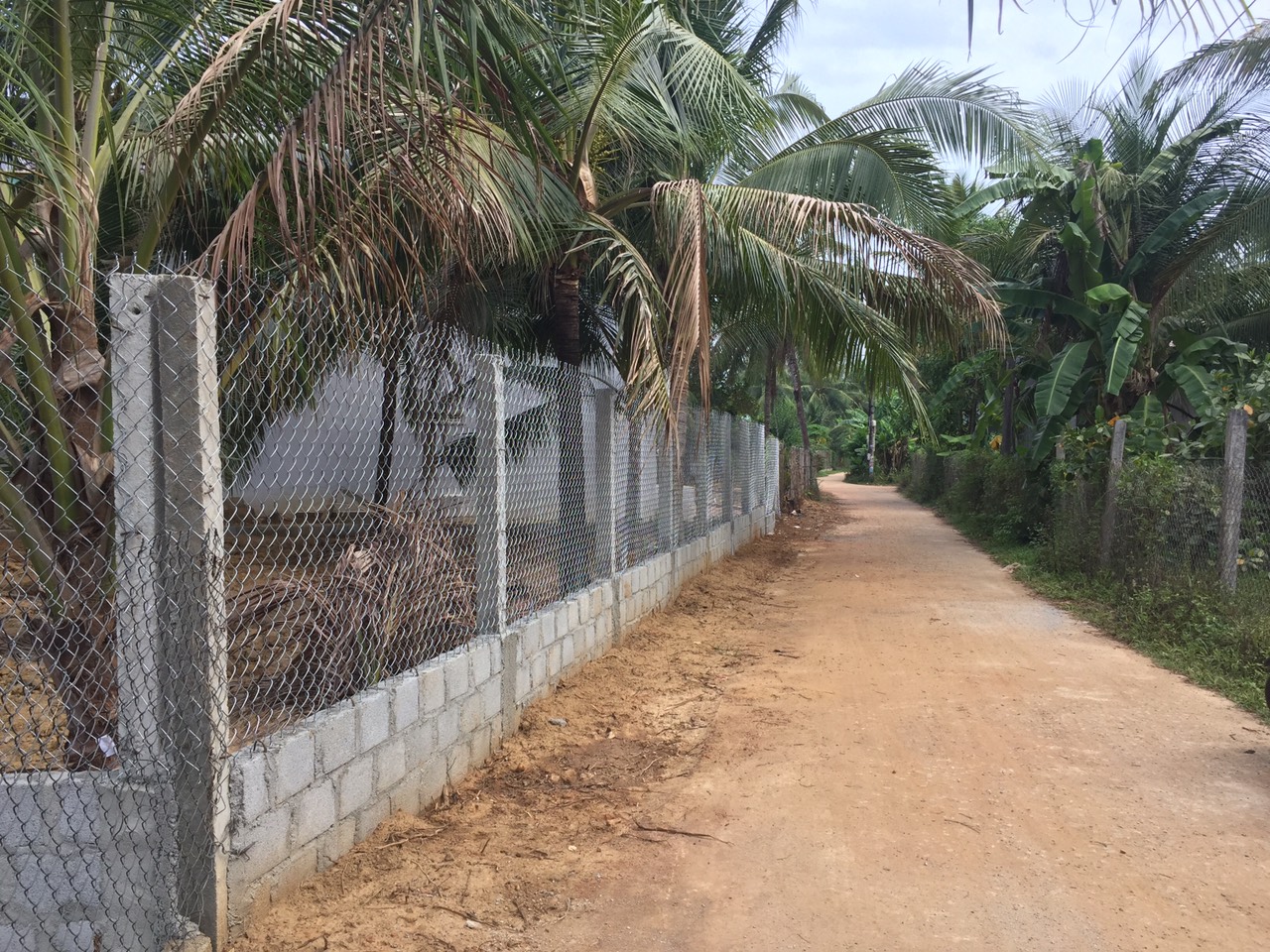 đất nền hoài xuân hoài nhơn giá rẻ